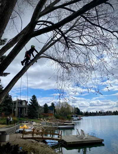 Pruning At The Beach