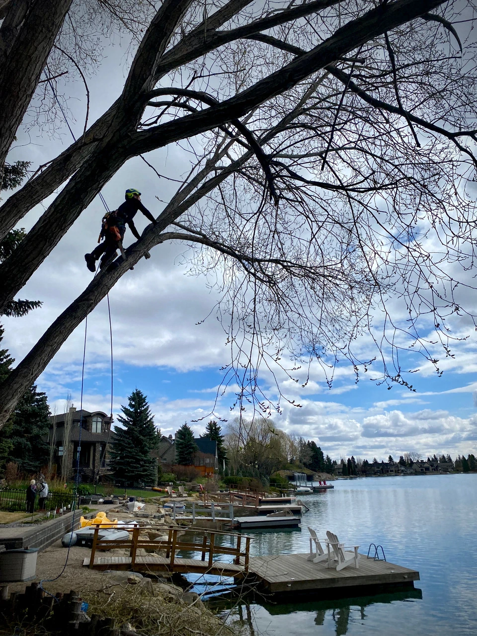 Subcontract Tree Climber Contract Climbing - Chinook Arbor Services