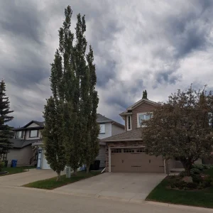 Swedish columnar aspens planted between Calgary homes, showing narrow growth habit and proximity to buildings and typical residential spacing